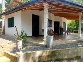 Pumpkin eco villa