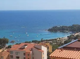 Appartement T2 vue sur les sanguinaires