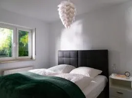 Apartment 1