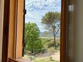 Les Cigales
