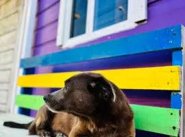 Go Slow Guesthouse