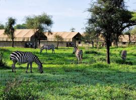 Africa Safari South Serengeti Ndutu Camping, majoitus kohteessa Sinoni