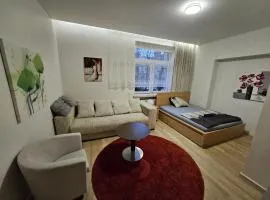 Kauno apartamentai big room king size bed