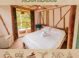 Victoria Ecolodge