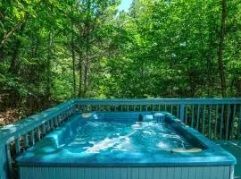 Ski Mountain Hideaway 1154