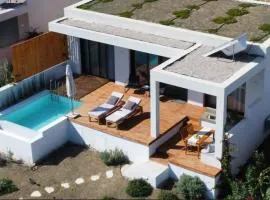 Villa Asteria - Modern Ionian Villa