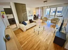 174 Close To Unil EPFL spacious modern and free parking included