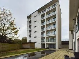 Free Parking Cozy 2 Bedroom Apartment in Belfast