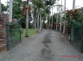 Emerald Tropical Palms B & B