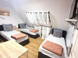 Chambre meublée "Julia" Terrasse Parking près de Paris