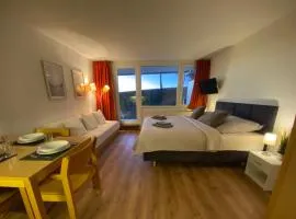 FeWo Pool, Sauna, Wellness, Gartenterrasse ENGELMEER