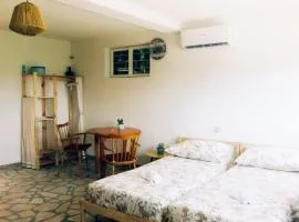 Suite Tangerine Studio