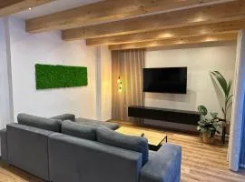 AlpLoft Apartment Top2