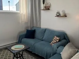 Bright and Spacious Apartment in Plateau