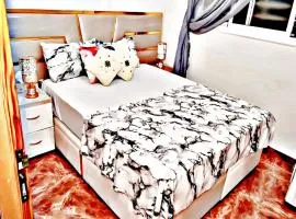 Luxury 3-bedroom apartments 5-min to the Airport