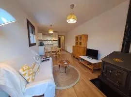 LA GINESTA 3, Apartaments de muntanya