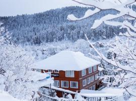 Marina Drung Waterfall By Stay Pattern, lyžařské středisko v destinaci Gulmarg