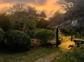 LIMA House - Mangrove Nyumba