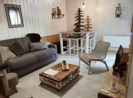Studio RDC 4-5 pers pied des pistes