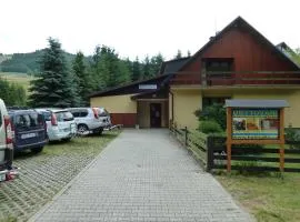 Pod Sněžníkem