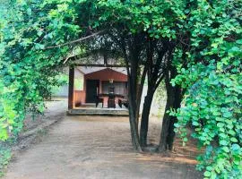 Green eco lodge yala