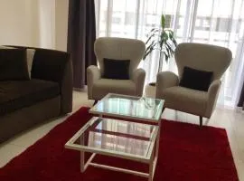 The best one bedroom in silverstone apartments