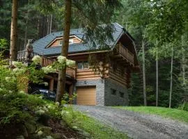 Wellness Chalet Durik Bystra - Ski Chopok Jasna South, Ski Tale