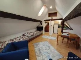 Dachgeschosswohnung in der Altstadt inklusive Parkplatz