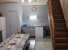 gite climatisé jusqu'à 9 personnes secteurs la broque Obernai Strasbourg – hotel w mieście La Broque