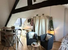 Studio Sur les Toits - Centre Historique