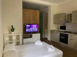 Casina Gelsomino - Lucca