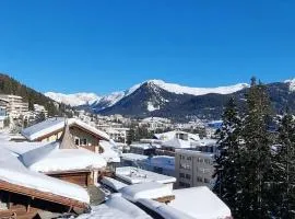 WEF Davos Alpine-Style Executive large Apartment