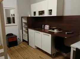 Spacious central Oslo studio