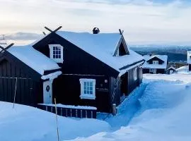9 person holiday home in Rauland