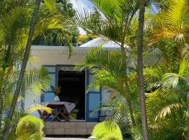Gîte créole de charme avec piscine, climatisation et parking - Proche plage Grand'Anse - FR-1-786-29