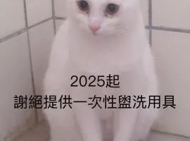 自然海naturalhigh