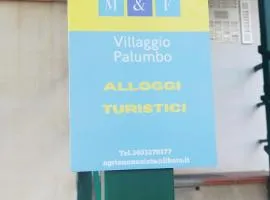 Agrifoglio