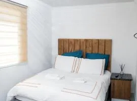 one bedroom apartment A1