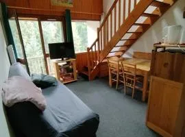 Duplex au Lioran avec balcon, proche pistes et commerces - FR-1-787-25
