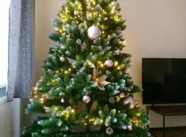 Luxusní byt v centru - Free Parking