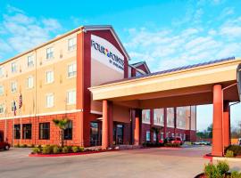 Four Points by Sheraton Houston Hobby Airport, hotel poblíž Letiště Williama P Hobbyho - HOU, Houston