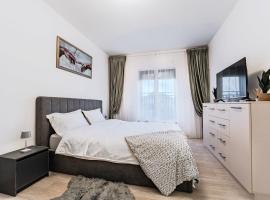 Fan and Cosy CHR 2 Chisoda Studio, готель у місті Chişoda