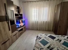 Cozy Comfort Studio Mioritei Wi Fi Self Check in - 11 Venturo