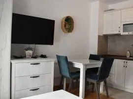 Vila Irina Kopaonik - Apartman Jovana