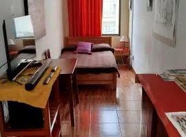 Departamento privado artístico