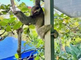 Peace of Paradise Breakfast Included Free Manuel Antonio Park Tour