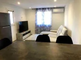 Bel appartement dans une maison