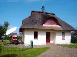Seemöwe
