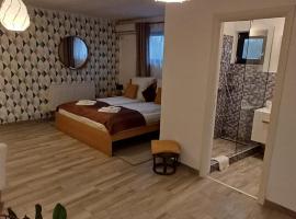 Neferprod Apartments - IS - CAM 05, Hotel in Timişoara