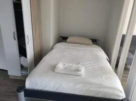 9 Beds including 3 Double Beds, 4 Single Beds, 2 Sofa Bed, Suite 1, 37 Totara Avenue, New Lynn
